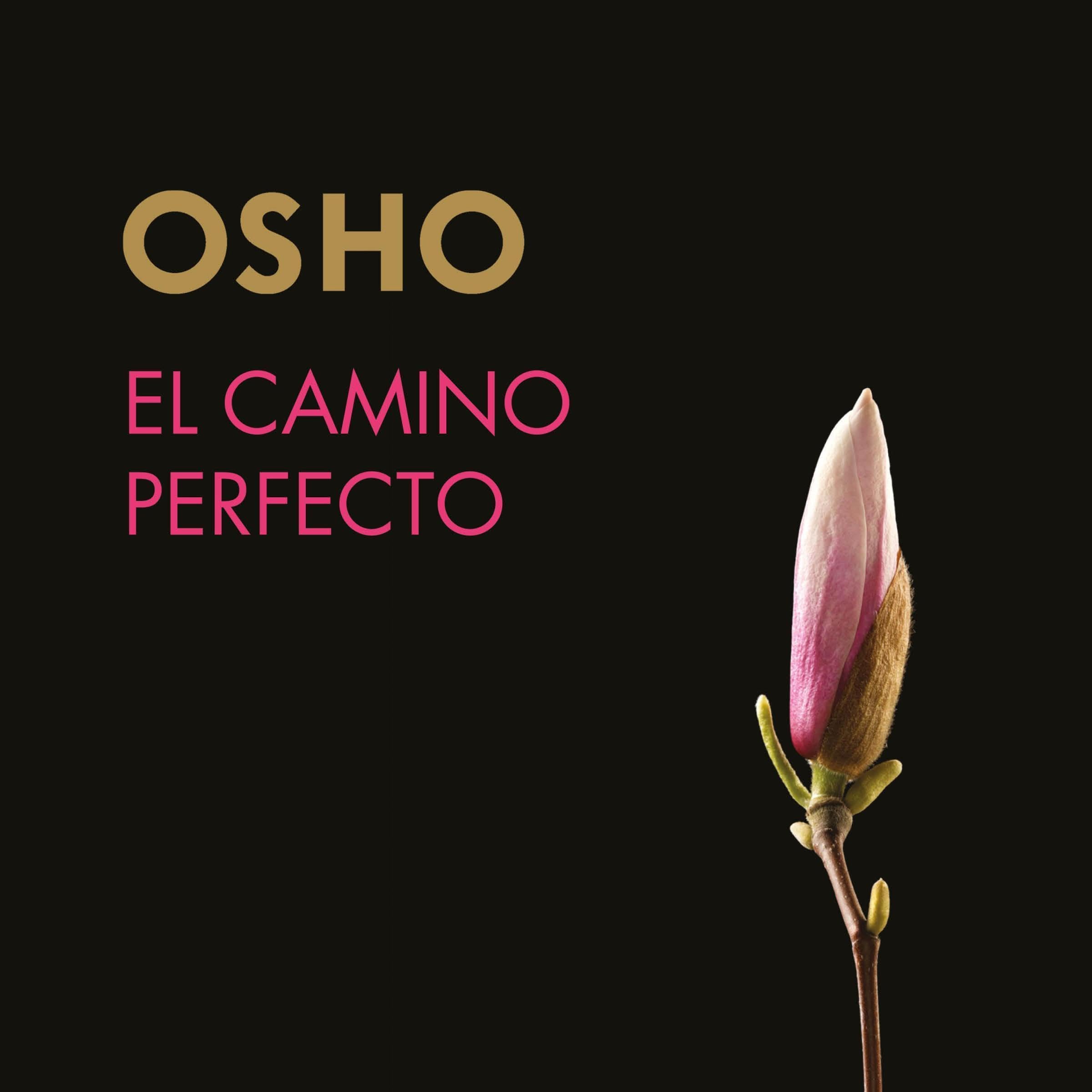 El camino perfecto (acento castellano) 2 de Osho — audiolibro en español