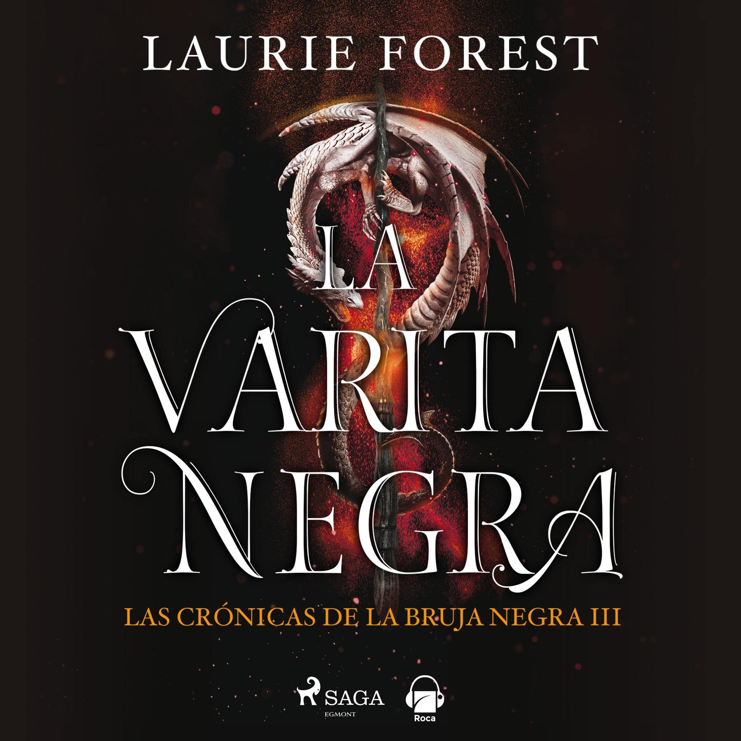 La varita negra — audiolibro completo