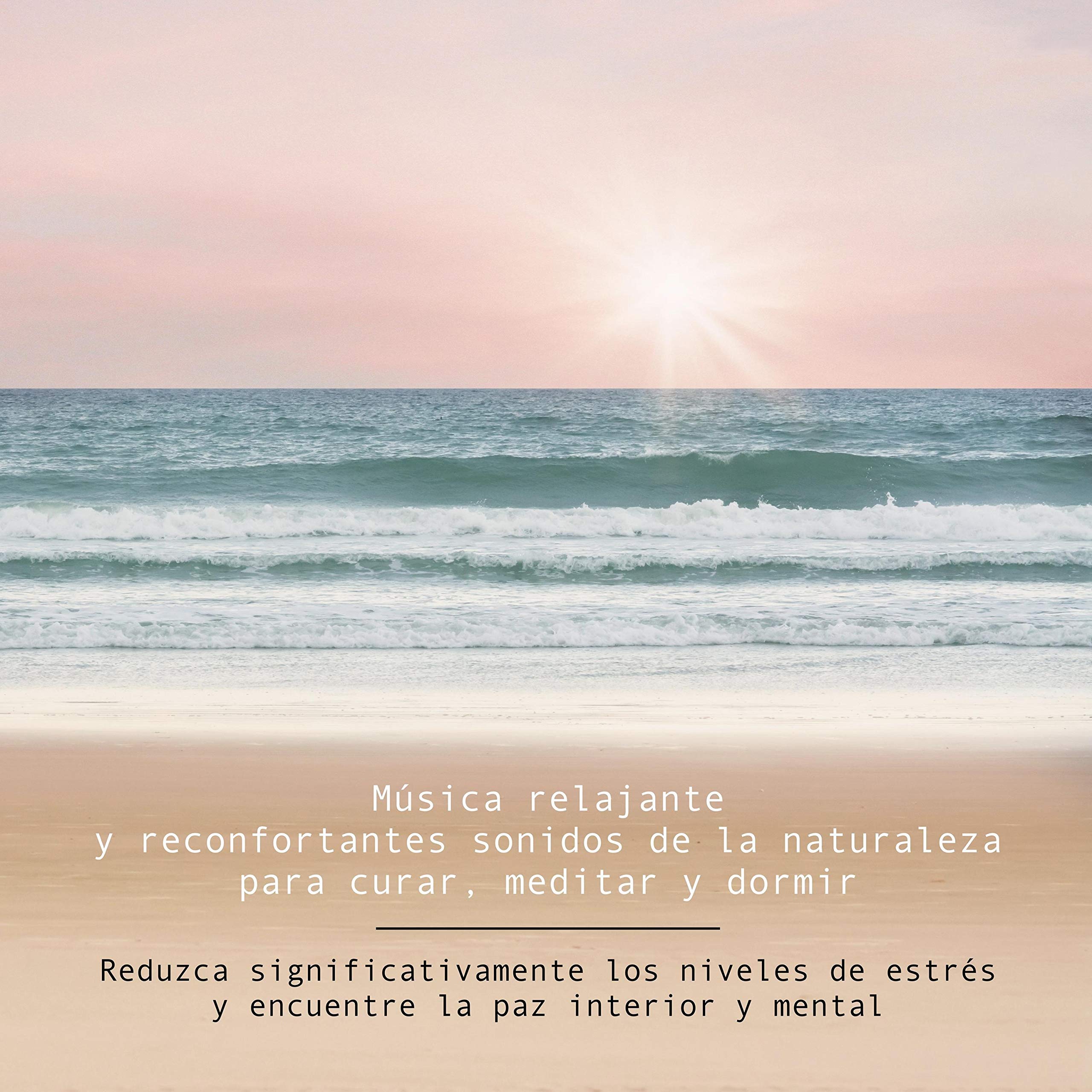 Música relajante y reconfortantes sonidos de la naturaleza para curar, meditar y dormir — audiolibro en español