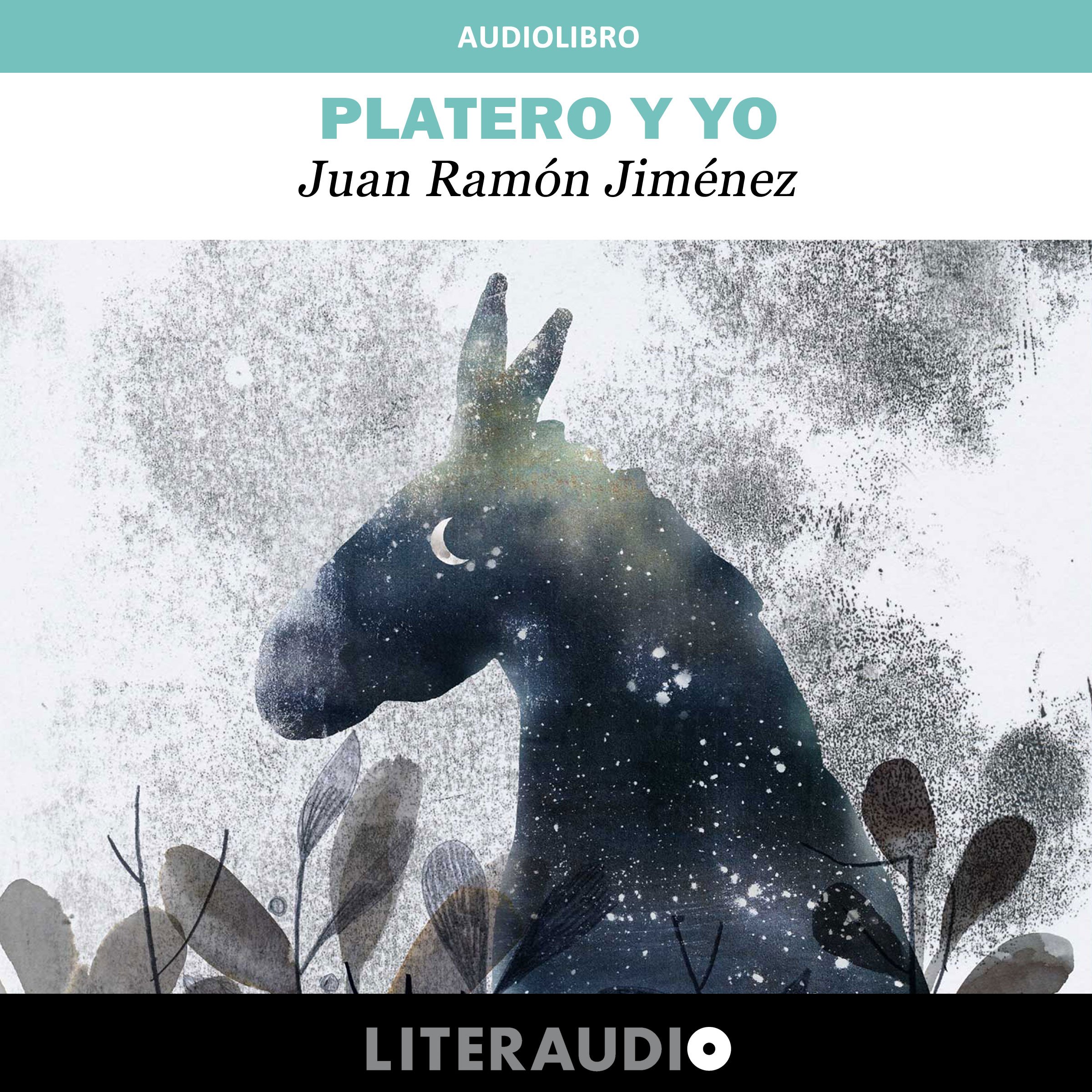 Platero y yo — audiolibro completo