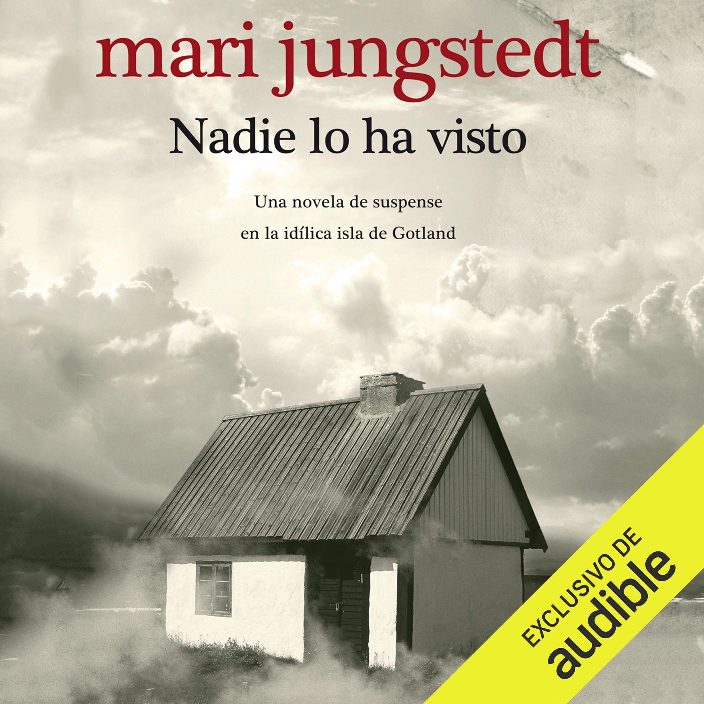 Portada de Nadie lo ha visto: Una novela de suspense en la idílica isla de Gotland